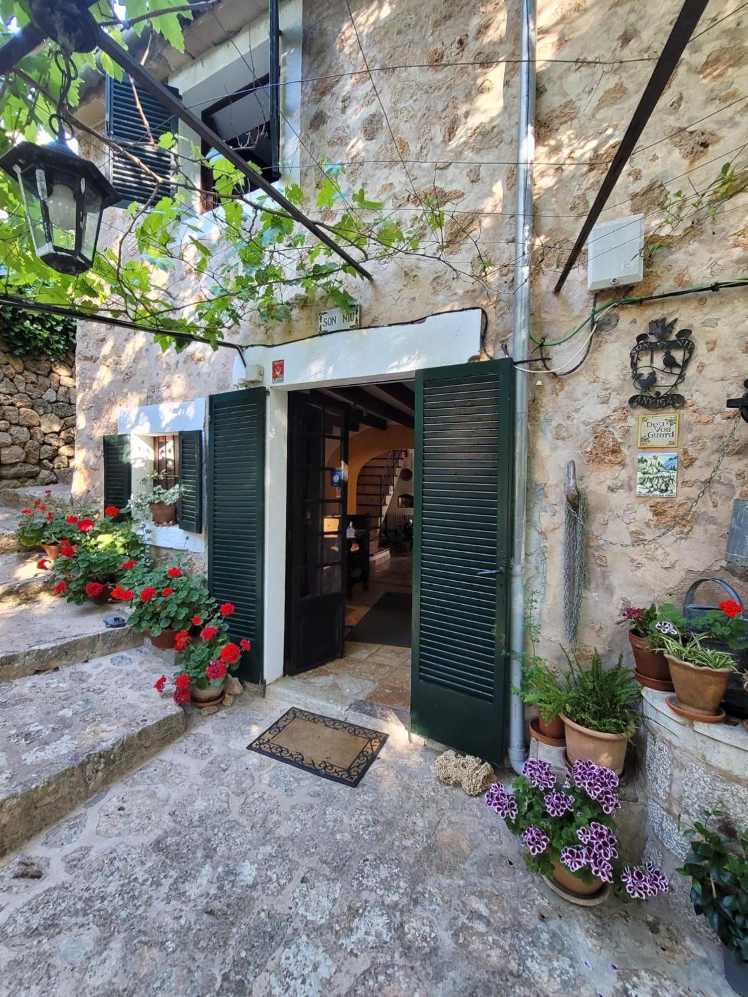 Son Niu Vell-La Hermossa Valldemossa  Zewnętrze zdjęcie